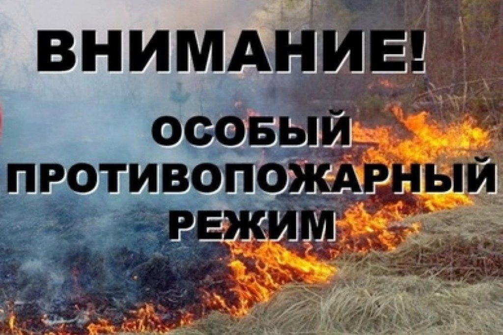 Противопожарный режим в Тюменской области 2025